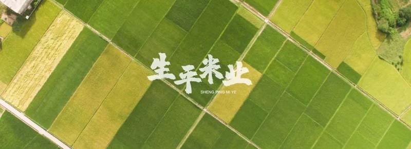 口碑引客，歐賽斯&生平米業(yè)開啟品牌戰(zhàn)略合作